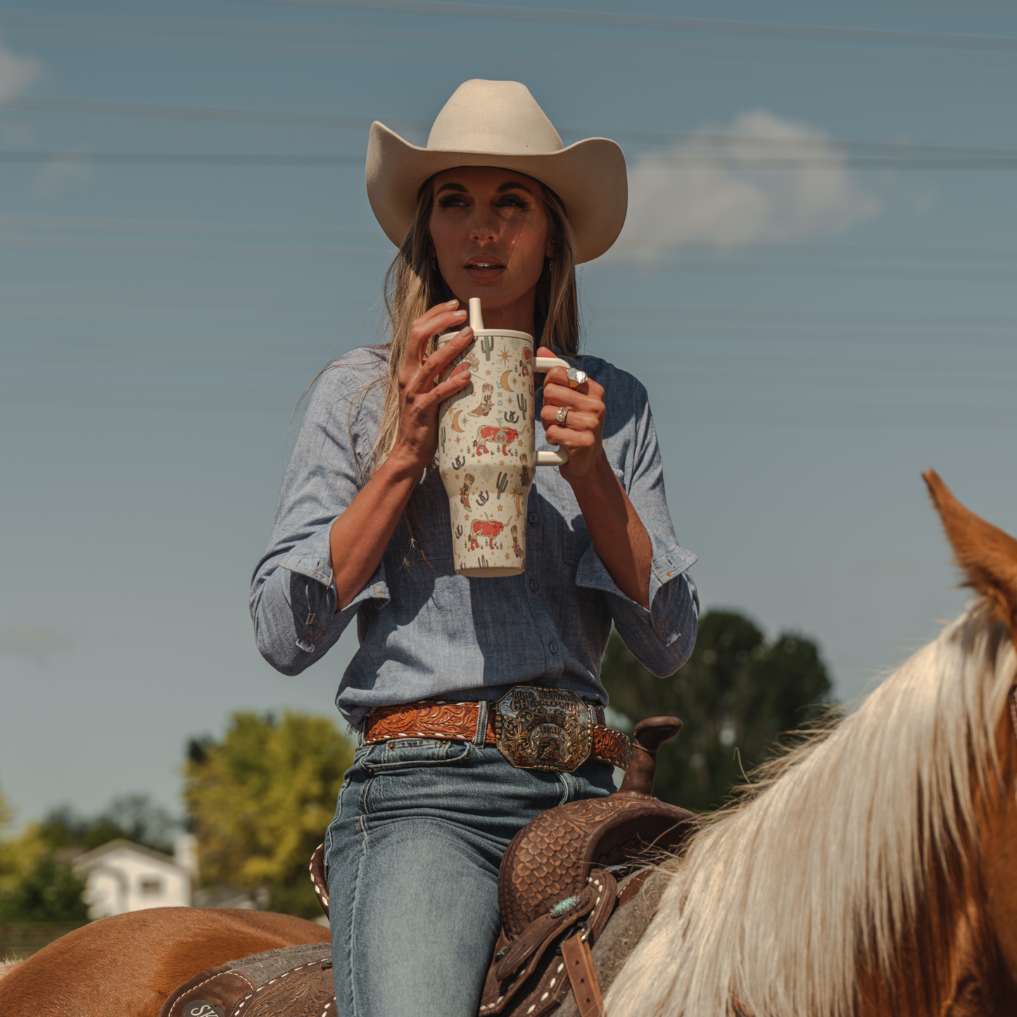 rodeo-i6 TRVL-Rodeo-6WPI.png